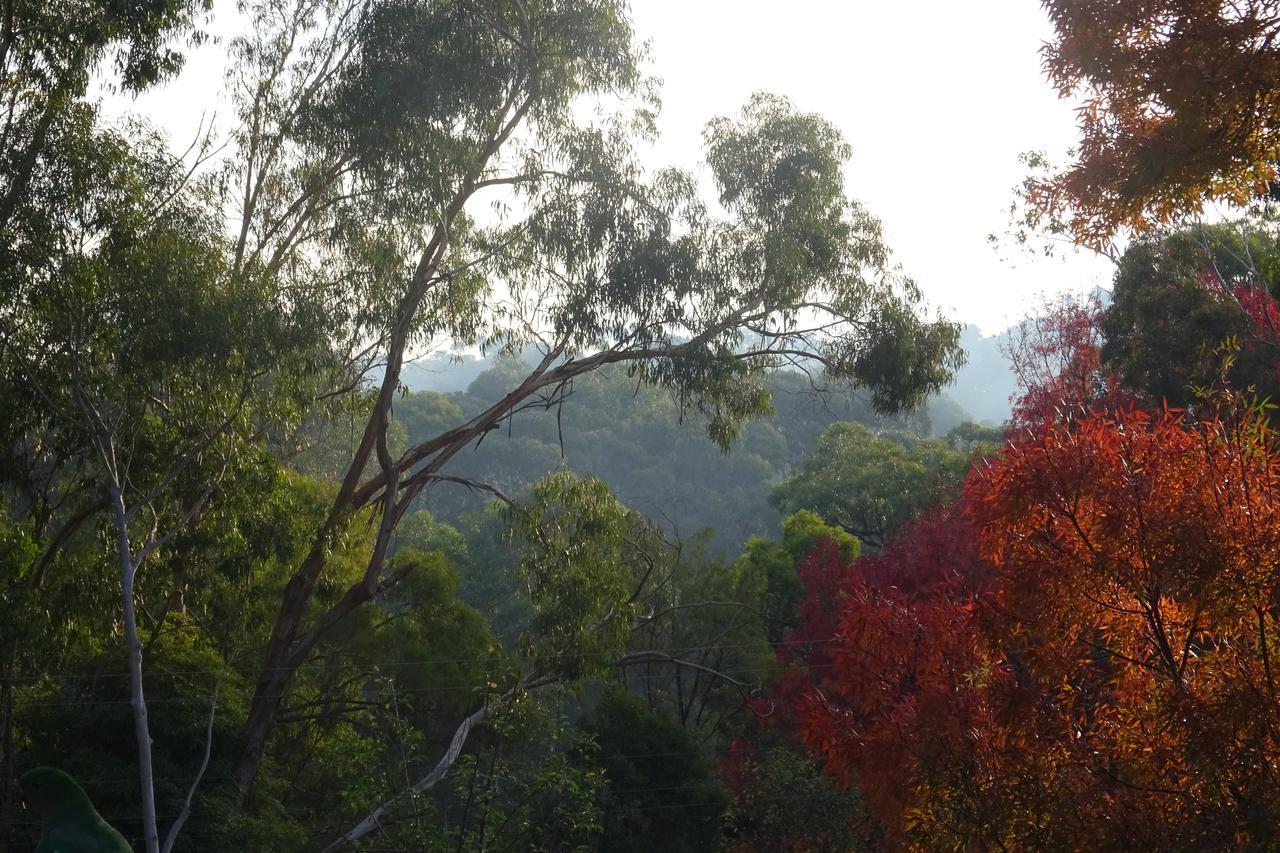 Yarra Ranges Country Apartment Mount Evelyn エクステリア 写真