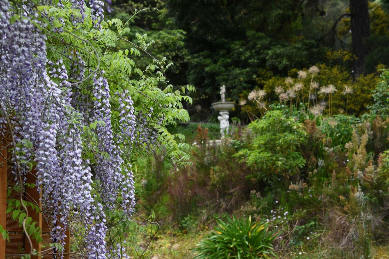 Yarra Ranges Country Apartment Mount Evelyn エクステリア 写真